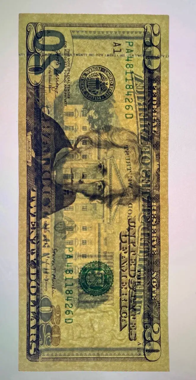 $20 Bill Detail